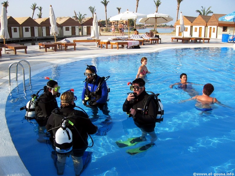 The Dive Connection  El Gouna 003